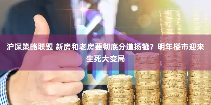 沪深策略联盟 新房和老房要彻底分道扬镳？明年楼市迎来生死大变局