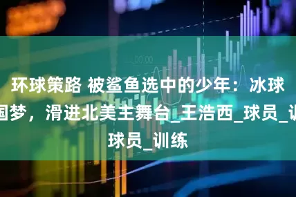 环球策路 被鲨鱼选中的少年：冰球中国梦，滑进北美主舞台_王浩西_球员_训练
