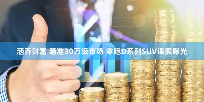 涵乔财富 瞄准30万级市场 零跑D系列SUV谍照曝光