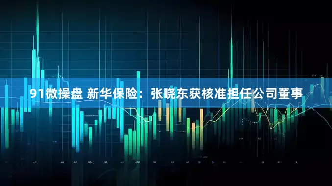 91微操盘 新华保险：张晓东获核准担任公司董事